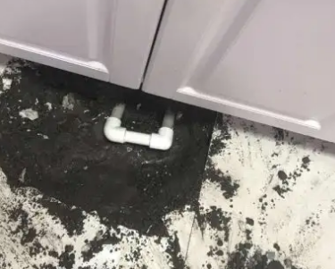 顺庆查漏水哪家好